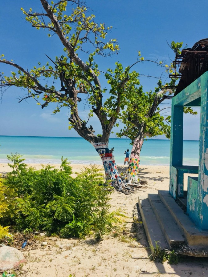 A beach in Haiti with the Haitian flag painted on a tree trunk